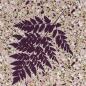 Preview: Baumwoll Jersey Marvelous Fern Lila Beige by Lycklig Design von Swafing